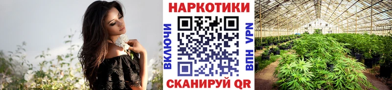 Где найти наркотики Сосновоборск Бошки Шишки  Псилоцибиновые грибы  Alpha-PVP  Меф мяу мяу  Гашиш  Cocaine 