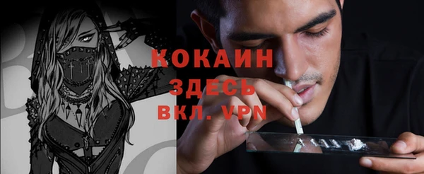прущий лед Михайлов