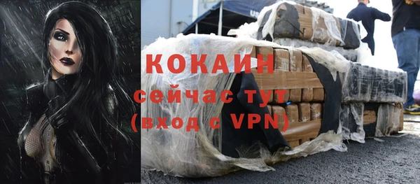 стаф Михайловск