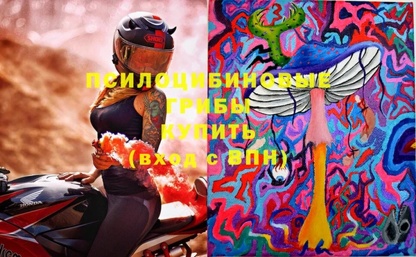 прущий лед Михайлов