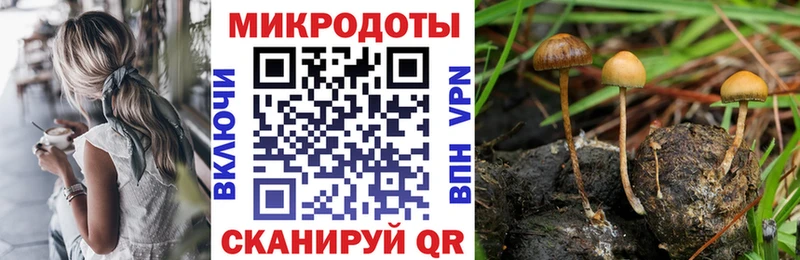 Галлюциногенные грибы мухоморы  Сосновоборск 