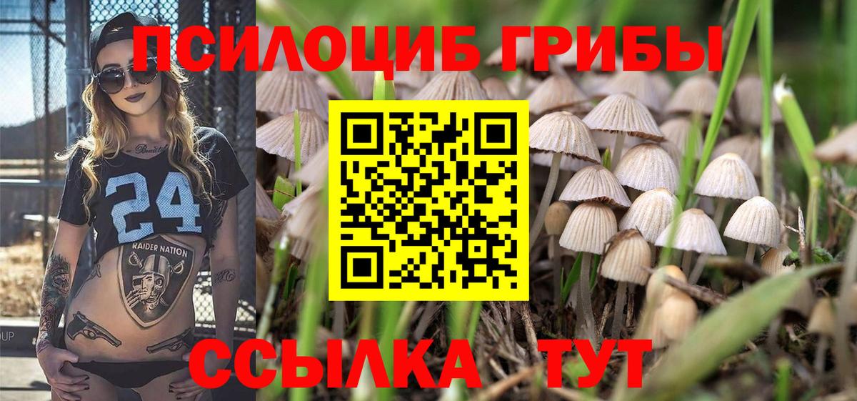 Галлюциногенные грибы MAGIC MUSHROOMS Сосновоборск