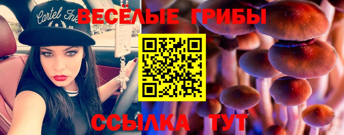 Псилоцибиновые грибы мухоморы  Вход с VPN  Сосновоборск 