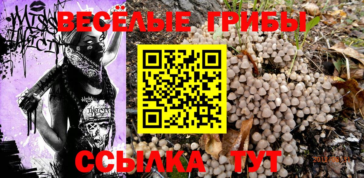 Псилоцибиновые грибы ЛСД Сосновоборск